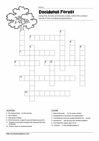 Deciduous Forest Crossword Worksheets