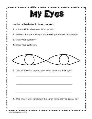My Eyes Worksheets