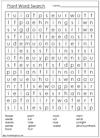 Plant Word Search Worksheets