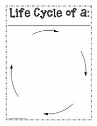 Life Cycle Worksheet