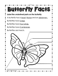 Life Cycle of a Butterfly Worksheets