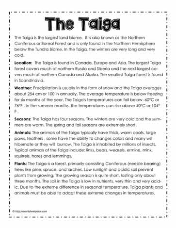 Taiga Biome Facts and Information