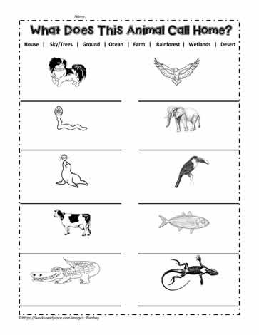 Animal Habitat Worksheets