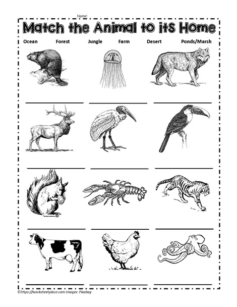 Match the Animals to their Habitat Worksheets