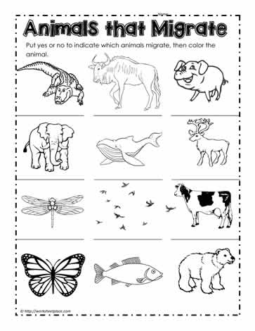Animals that Migrate Worksheets