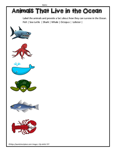 ocean-animals-worksheets