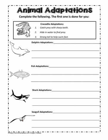 Animal Adaptation Sheet Worksheets