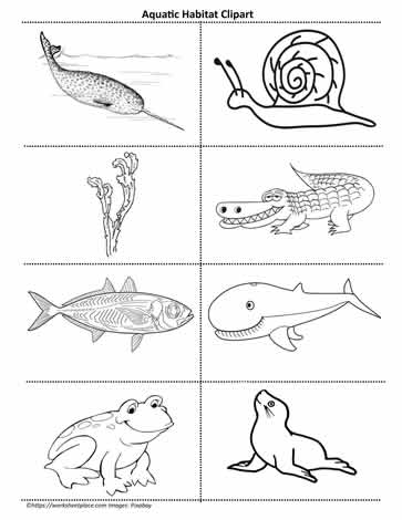 Clipart of Aquatic Life Worksheets