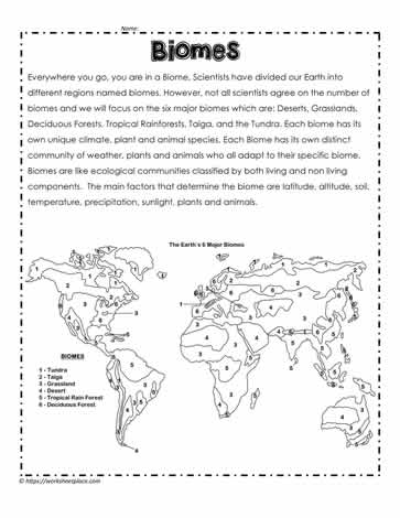 Biome Facts and Map of Biomes