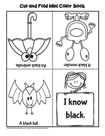 Color Black Foldable Book