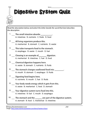 Digestive System Quiz