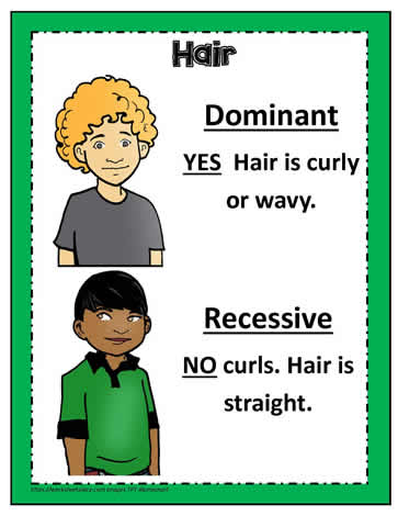Dominant and Recessive Poster 6