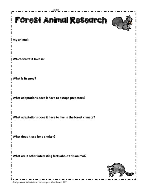 research worksheet for grade 2