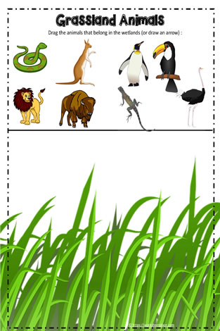 Animal Grassland Google App Worksheets