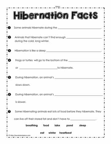 Hibernation Facts Worksheets