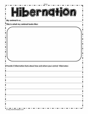 Hibernation Worksheet Worksheets