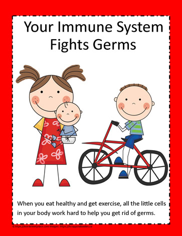 Our Germ Fighters - Immunity