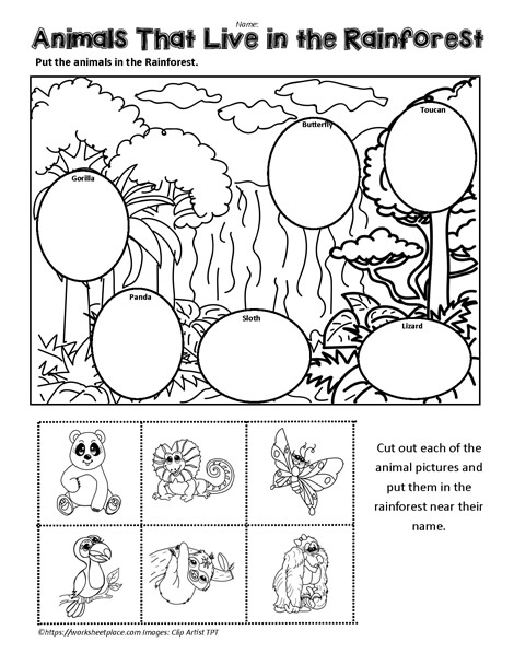 jungle animals worksheet worksheets