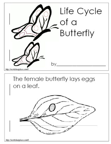 Life Cycle of a Butterfly Booklet