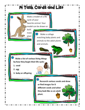 Life Cycle Task Cards