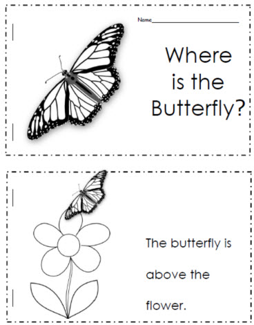Where is the Butterfly