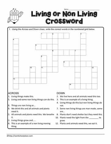 Living and Non Living Crossword