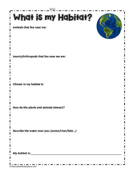 what-is-my-habitat-worksheets