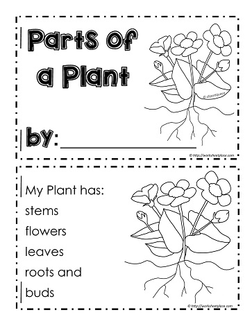 My Parts of a Plant Booklet