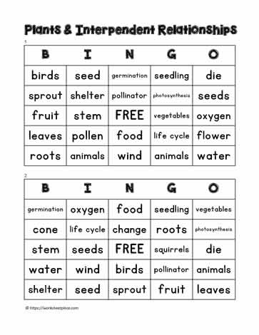Plant Bingo 1-2