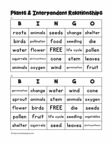 Plant Bingo 17-18