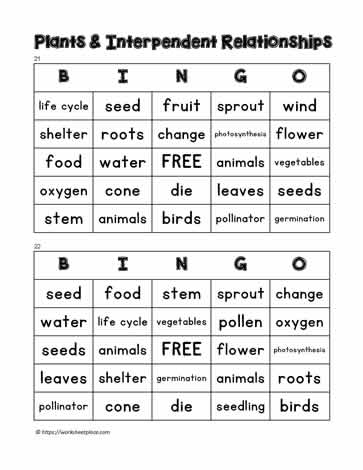 Plant Bingo 21-22