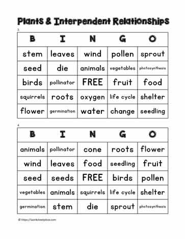 Plant Bingo 3-4