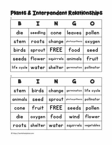 Plant Bingo 5-6