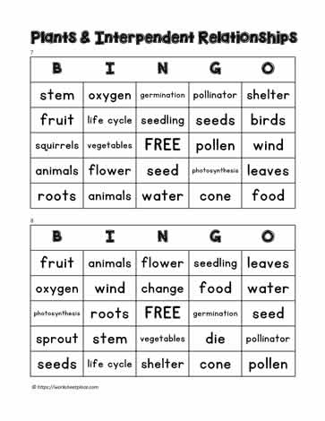 Plant Bingo 7-8