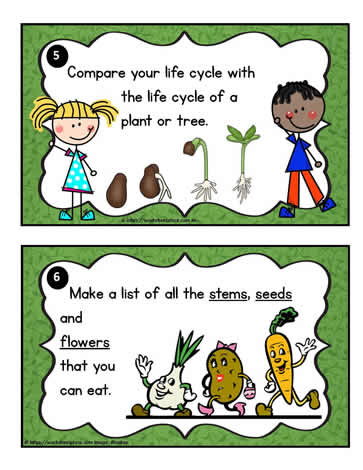 Plant Task Cards 5-6