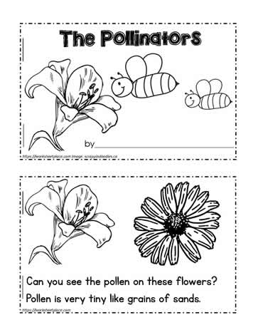 Pollinator Booklet
