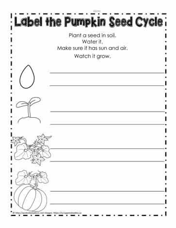 Label the Pumpkin Seed Cycle