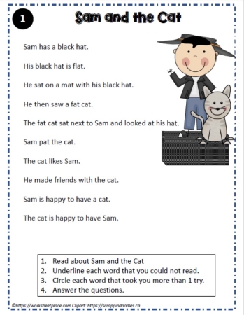 Reading Comprehension About Sam and the Cat