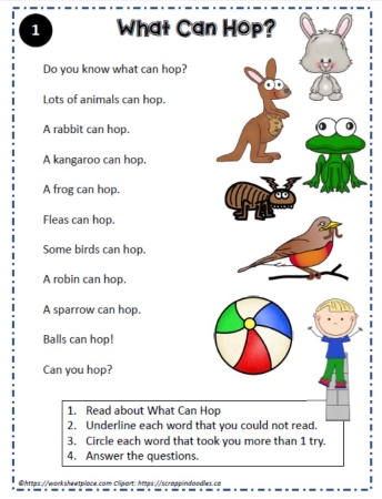 Reading Comprehension About What Can Hop?