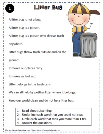 Reading Comprehension About Litter Bug