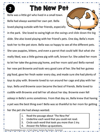 Reading Comprehension About A New Pet