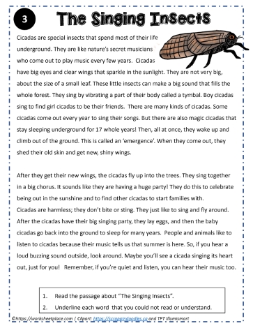 Reading Comprehension About The Singing Insects