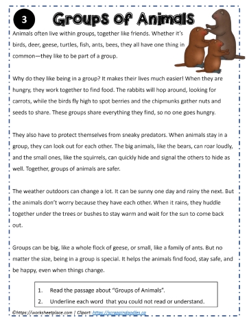 Reading Comprehension Groups of Animals