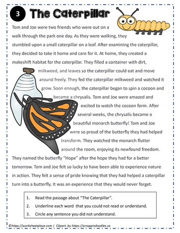 Reading Comprehension About The Caterpillar