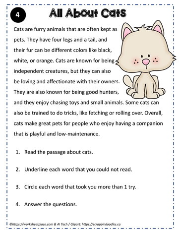 Reading Comprehension About Cats
