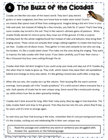Reading Comprehension About Cicadas