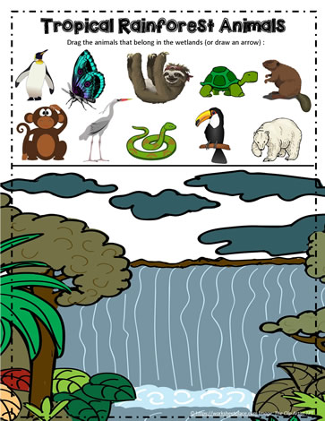 Tropical Rainforest Animals Google App Worksheets