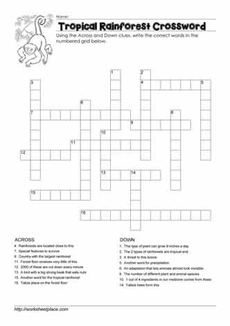 Tropical Rainforest Crossword