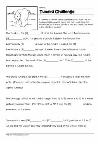 Tundra Cloze Worksheet