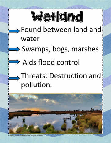Posters of Wetland